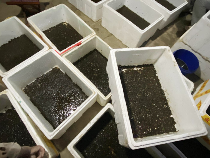 ����8��·���������Ʒ