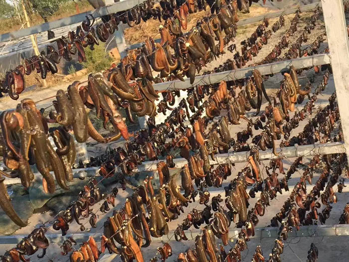 ����8��·���������Ʒ