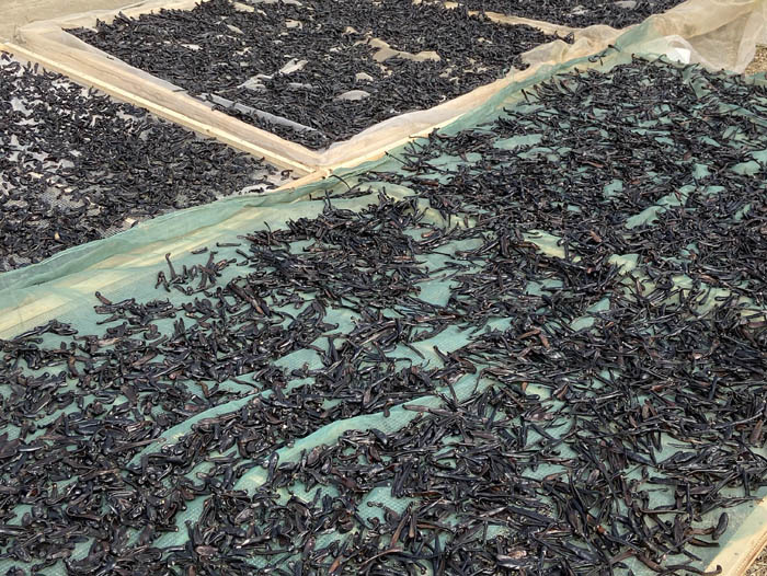 ����8��·���������Ʒ