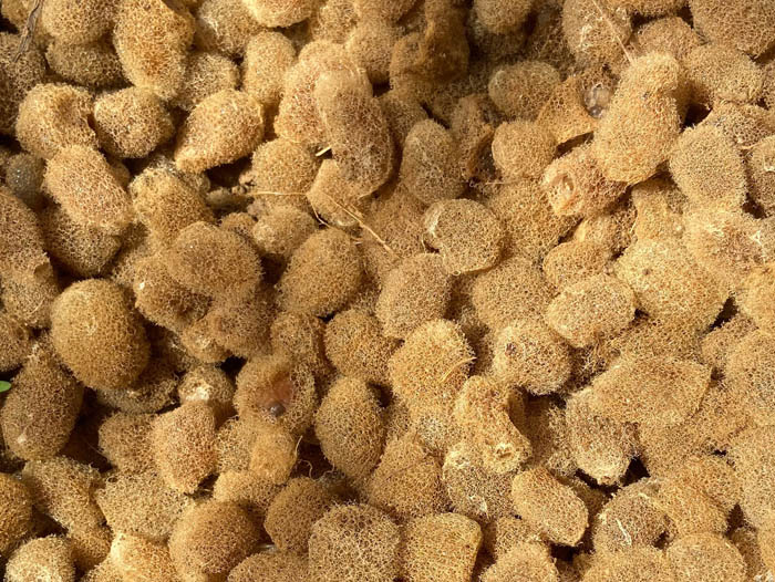 ����8��·��������Ѽ�