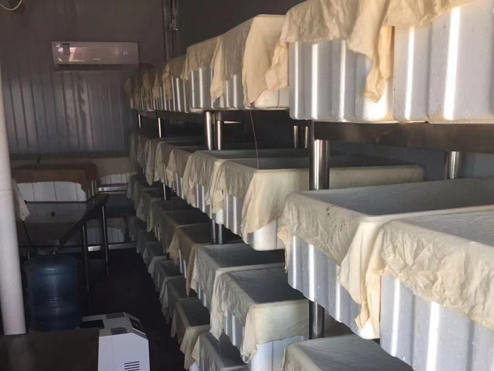 ����8��·��������Ѽ�