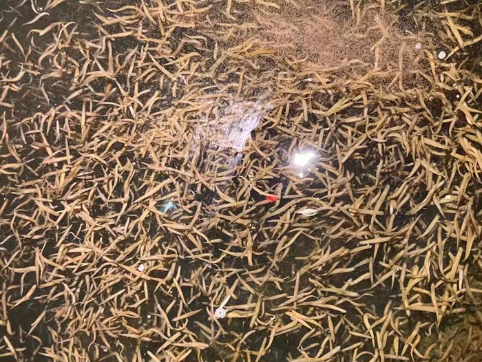 ����8��·��������Ѽ�