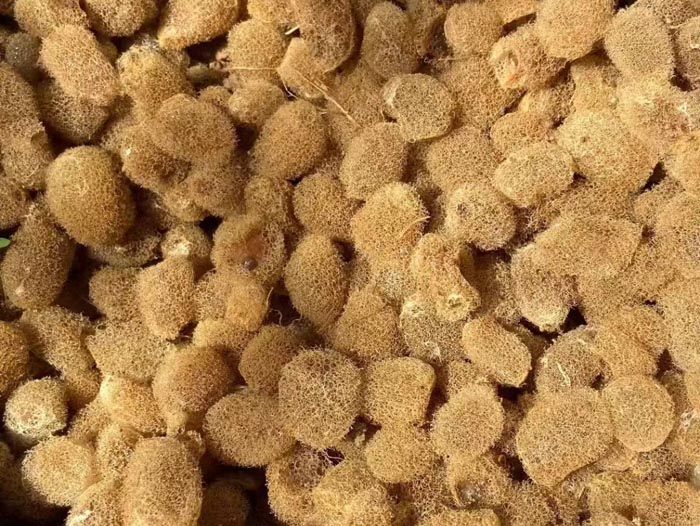 ����8��·��������Ѽ�