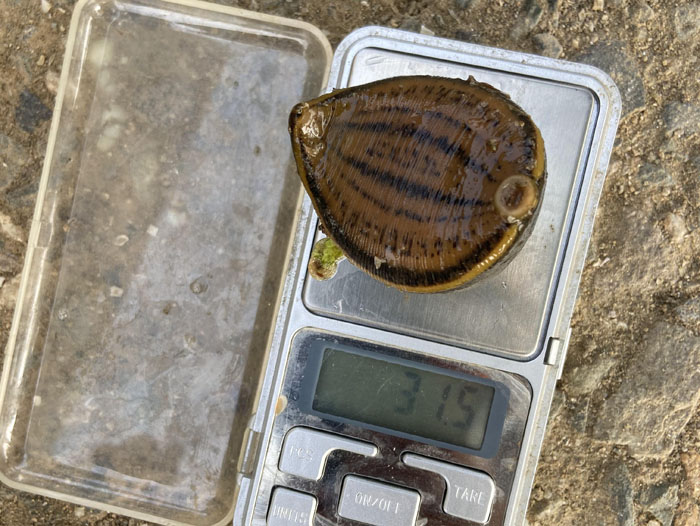 ����8��·�������С��