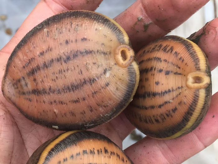 ����8��·�������С��