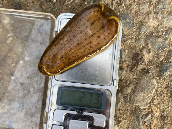 ����8��·�������С��