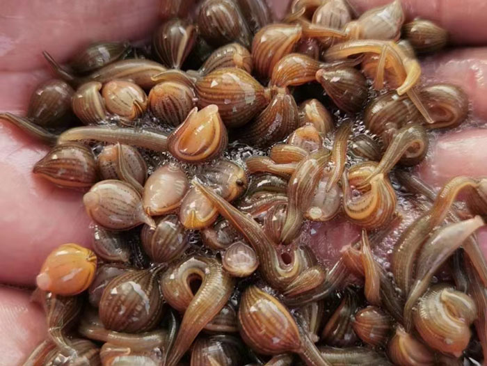 ����8��·�������С��