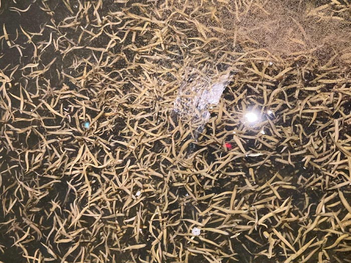 ����8��·�������С��