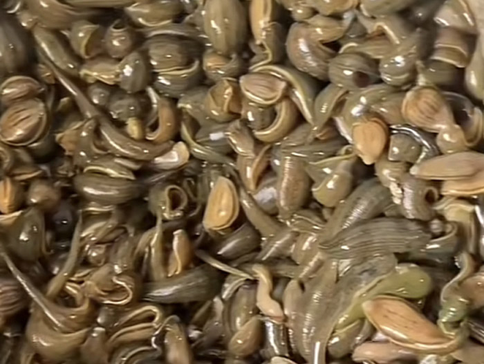 ����8��·�������С��