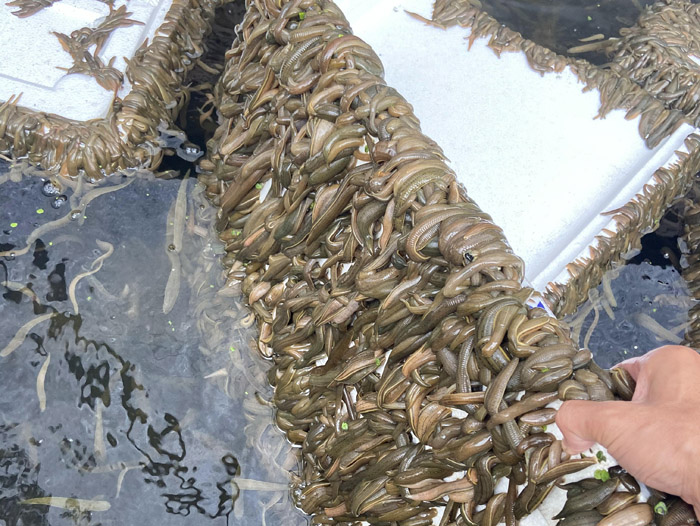 ����8��·������ĳ���