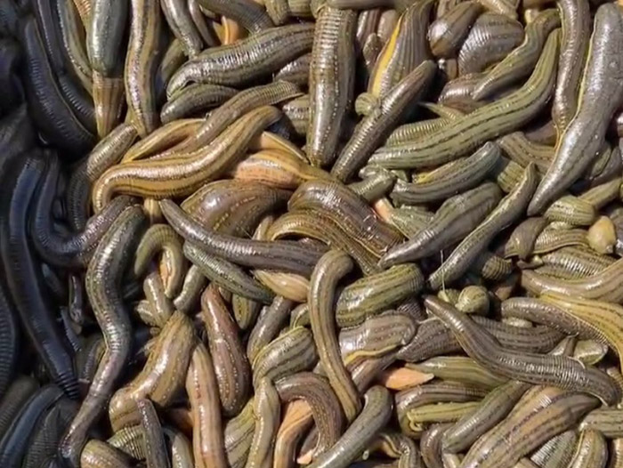 ����8��·������ĳ���