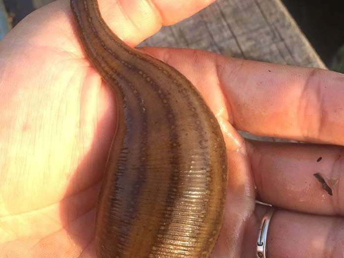 ����8��·������ĳ���