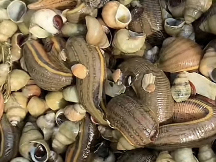 ����8��·������ĳ���