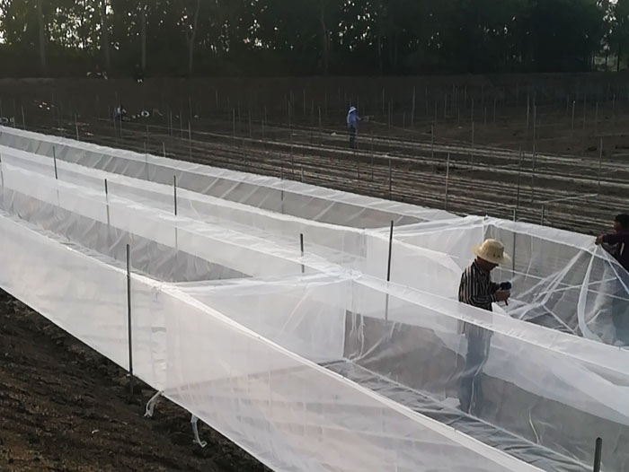 ��ֳ����