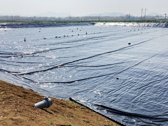 ��ֳ����