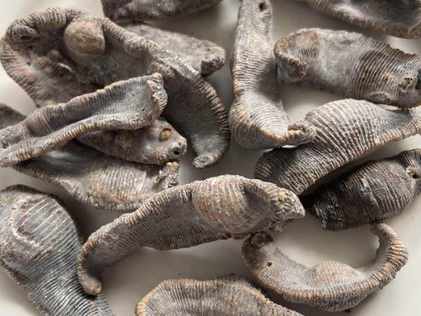 天游8线路检测中心制品