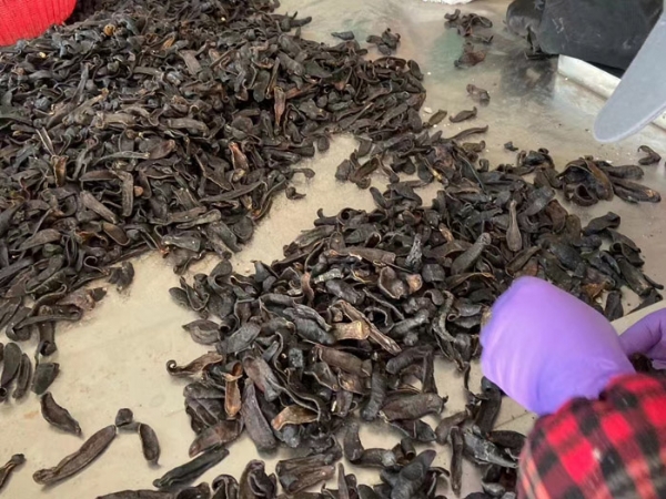 天游8线路检测中心制品