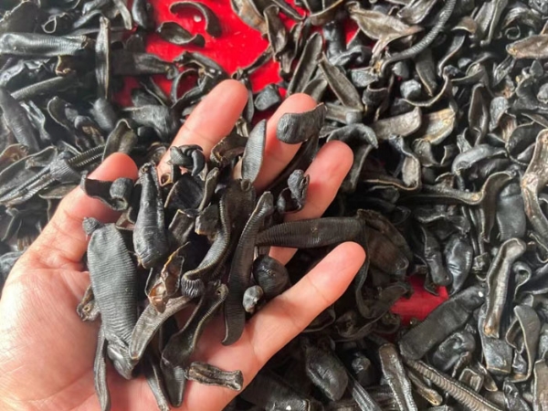 天游8线路检测中心制品