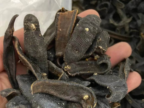 ����8��·���������Ʒ