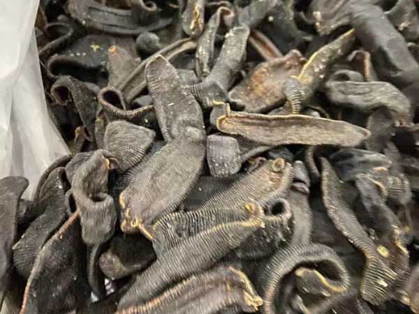 ����8��·���������Ʒ