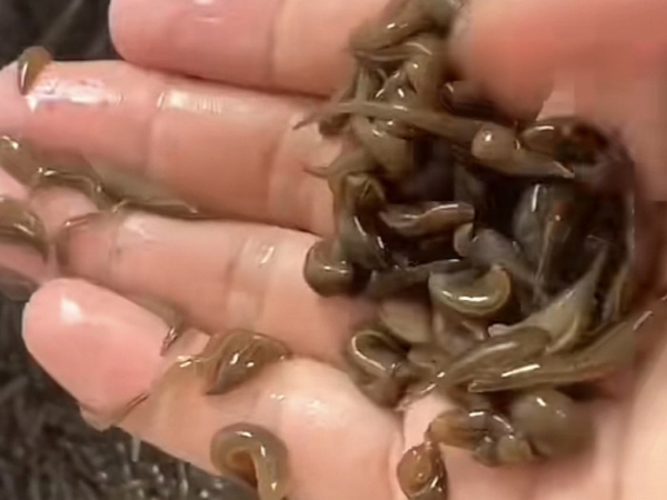 ����8��·�������С��