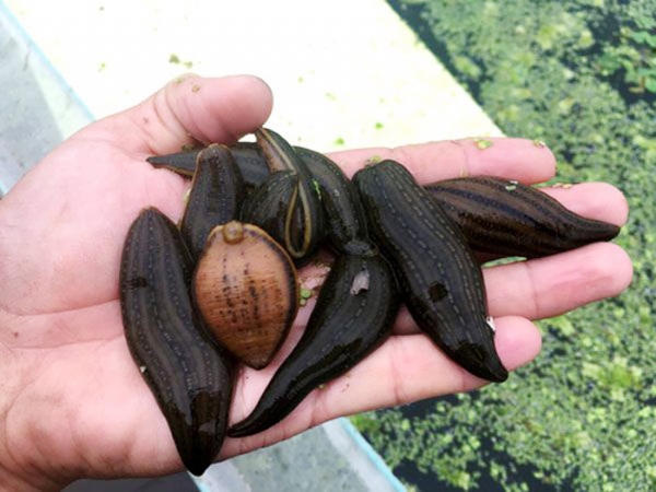 天游8线路检测中心成苗