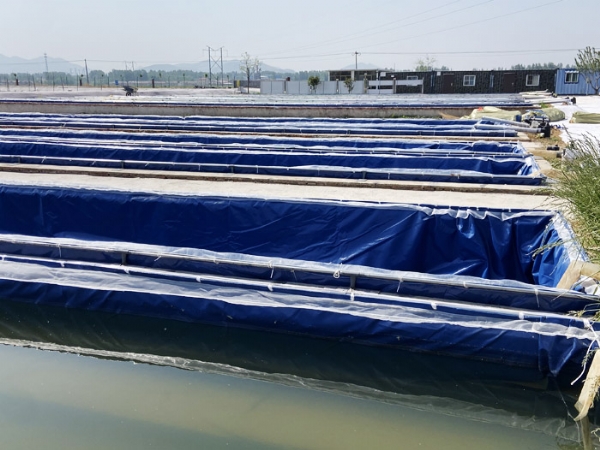 ��ֳ����