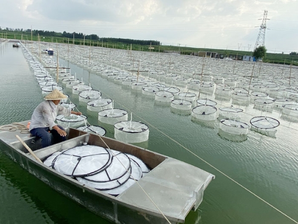 ��ֳ����