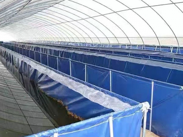 ��ֳ����