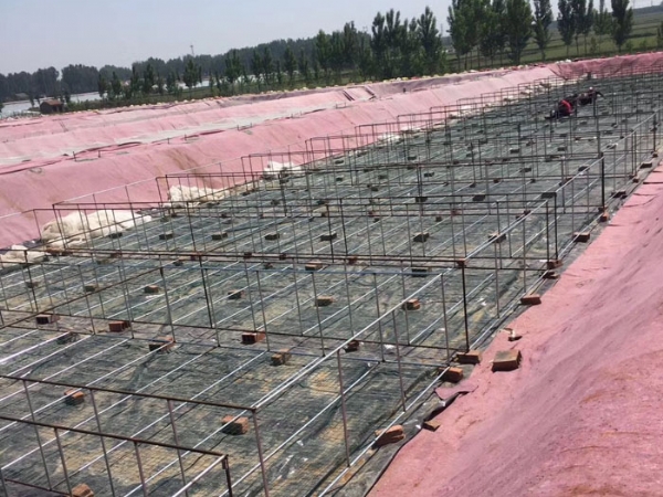 ��ֳ����