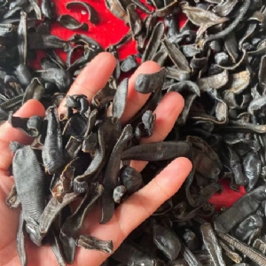 ����8��·���������Ʒ