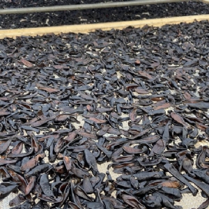 ����8��·���������Ʒ