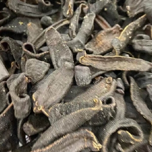 ����8��·���������Ʒ