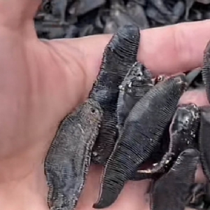 ����8��·���������Ʒ