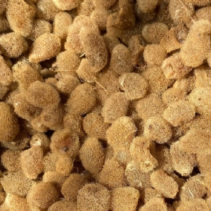 ����8��·��������Ѽ�