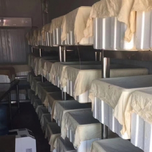 ����8��·��������Ѽ�