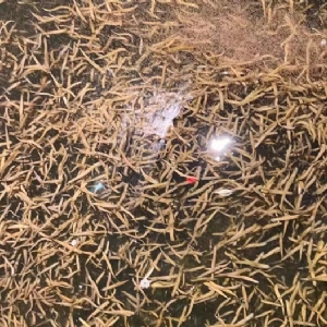 ����8��·��������Ѽ�