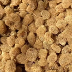 ����8��·��������Ѽ�