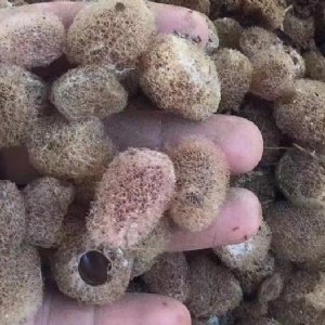 ����8��·��������Ѽ�