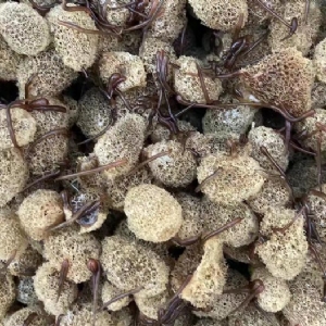 ����8��·��������Ѽ�