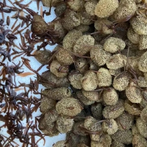 ����8��·��������Ѽ�