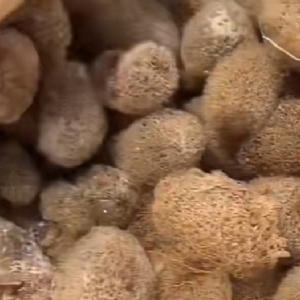 ����8��·��������Ѽ�