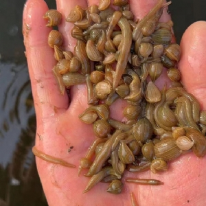 ����8��·�������С��