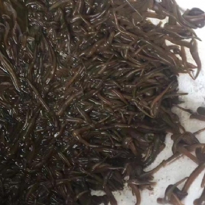 ����8��·�������С��