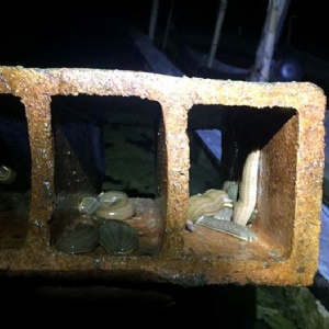 ����8��·�������С��