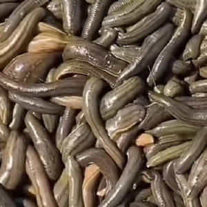 ����8��·�������С��