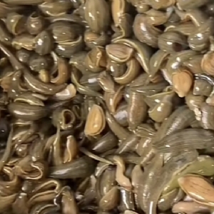 ����8��·�������С��