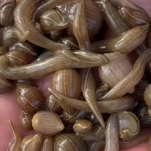 ����8��·�������С��