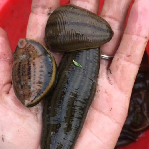 ����8��·������ĳ���