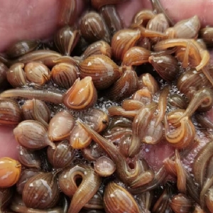 ����8��·������ĳ���